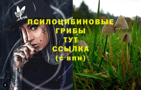 индика Белокуриха