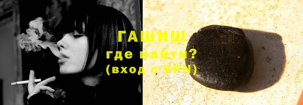 индика Белокуриха