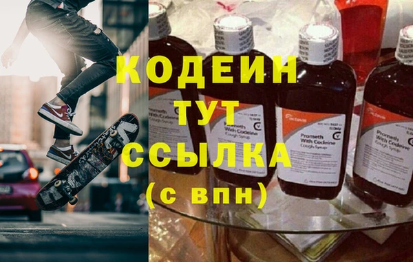 индика Белокуриха