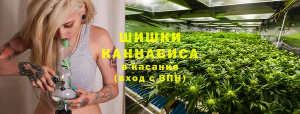 индика Белокуриха