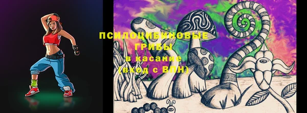 индика Белокуриха